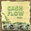 Paid j - Cash Flow - Single